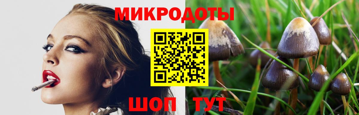 Псилоцибиновые грибы Magic Shrooms  Вход с VPN  Северобайкальск  Псилоцибиновые грибы Psilocybe 